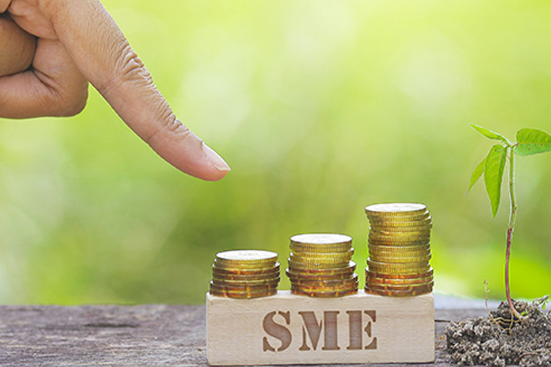 SME Loans